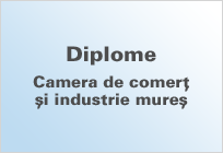 diplomecamera